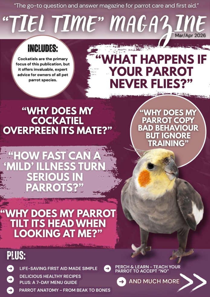 Tiel Time edition 15